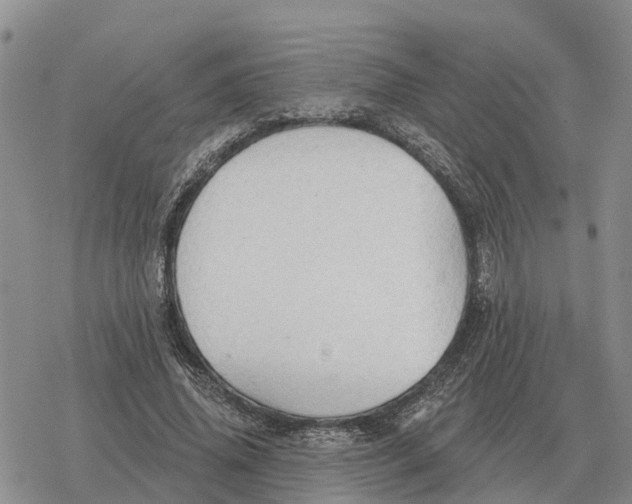 X0000078290636200611251444