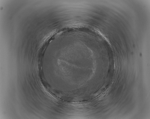 X0000078290637200611251444