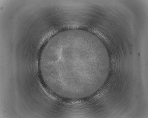 X0000078290638200611251444