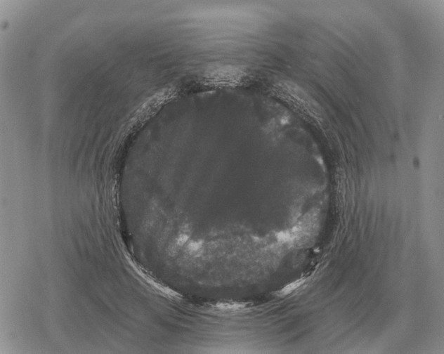 X0000078290641200611251444