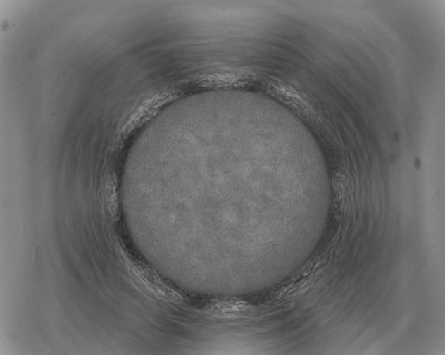 X0000078290642200611251444