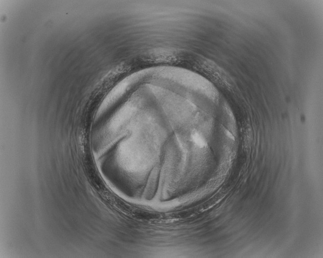 X0000078290643200611251444