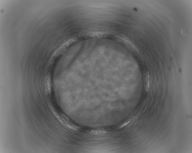 X0000078290644200611251444