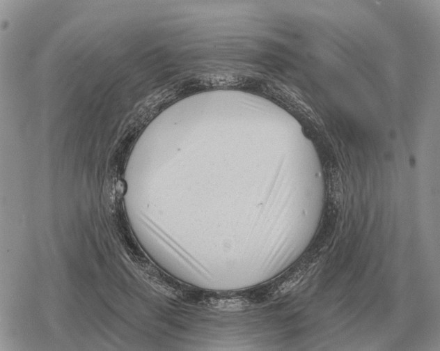 X0000078290645200611251444