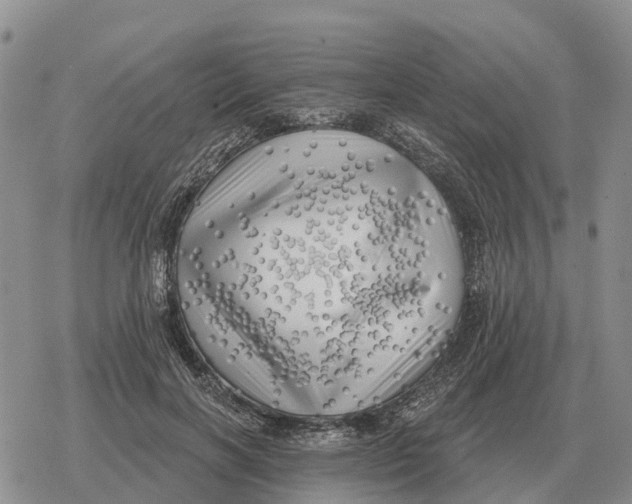 X0000078290646200611251444