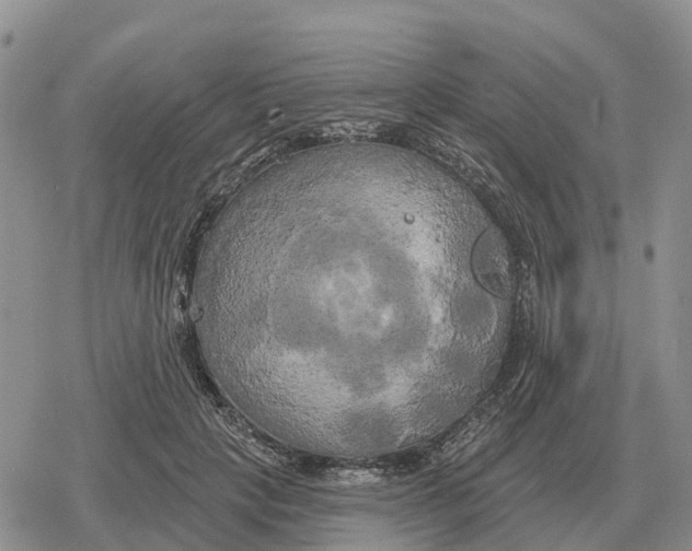 X0000078290649200611251444