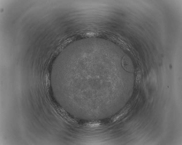 X0000078290651200611251444