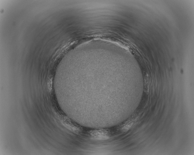 X0000078290652200611251444