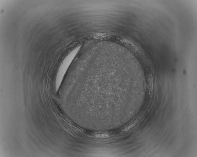 X0000078290653200611251444