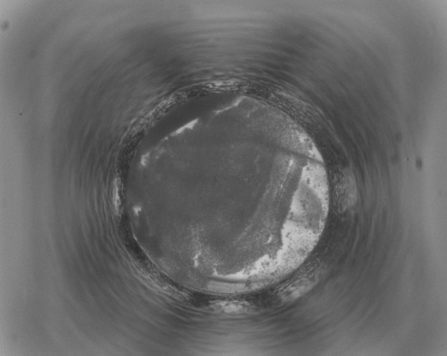 X0000078290654200611251444