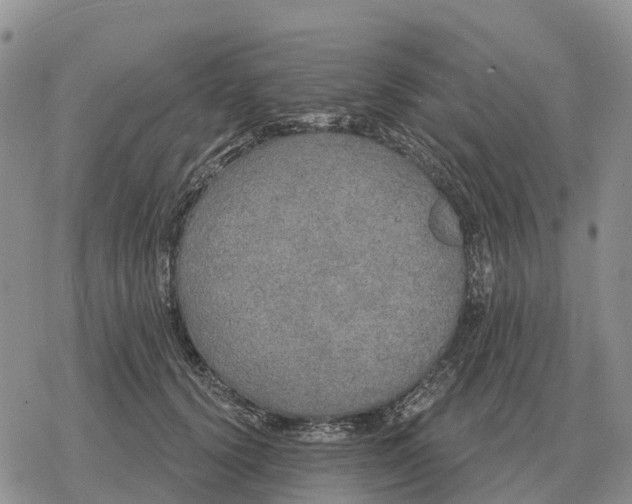 X0000078290656200611251444