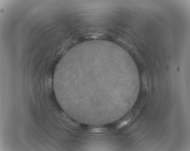 X0000078290657200611251444