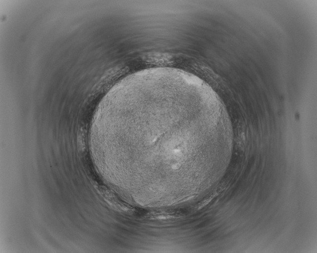 X0000078290658200611251444