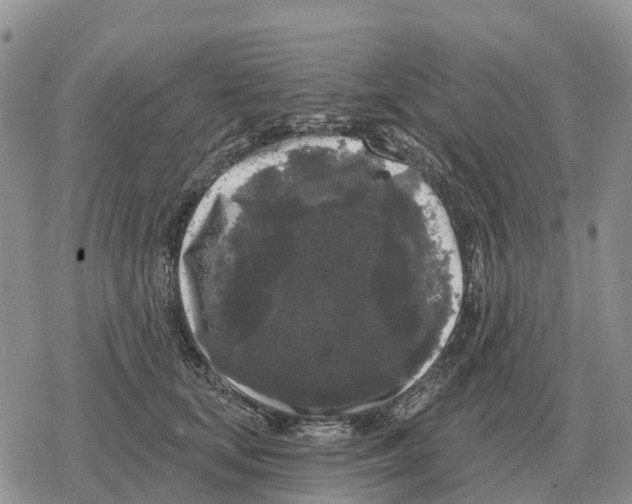 X0000078290659200611251444