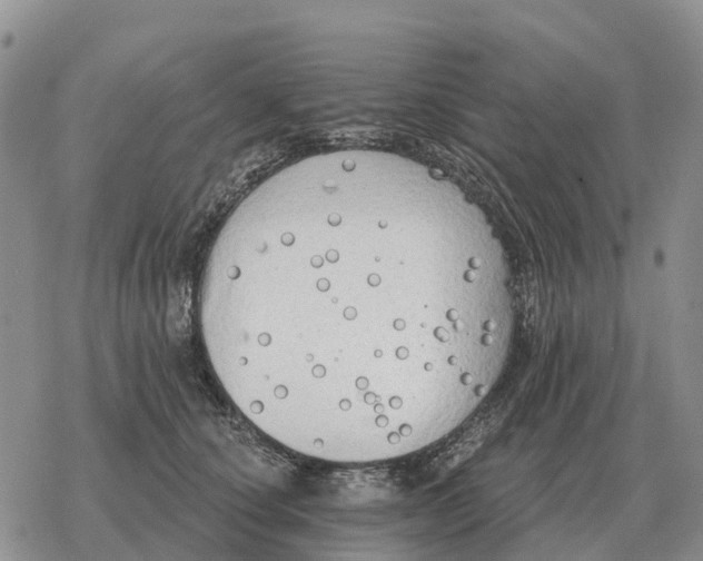 X0000078290660200611251444