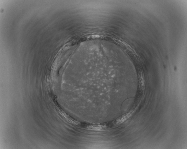 X0000078290661200611251444