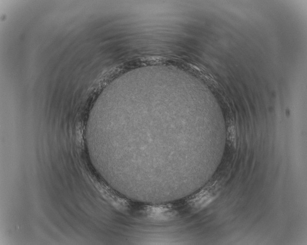 X0000078290662200611251444