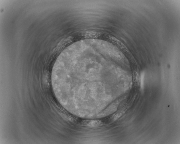 X0000078290663200611251444