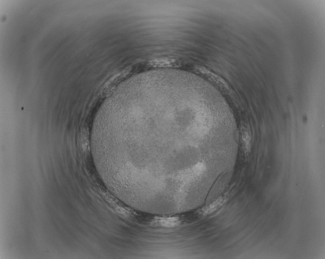 X0000078290665200611251444