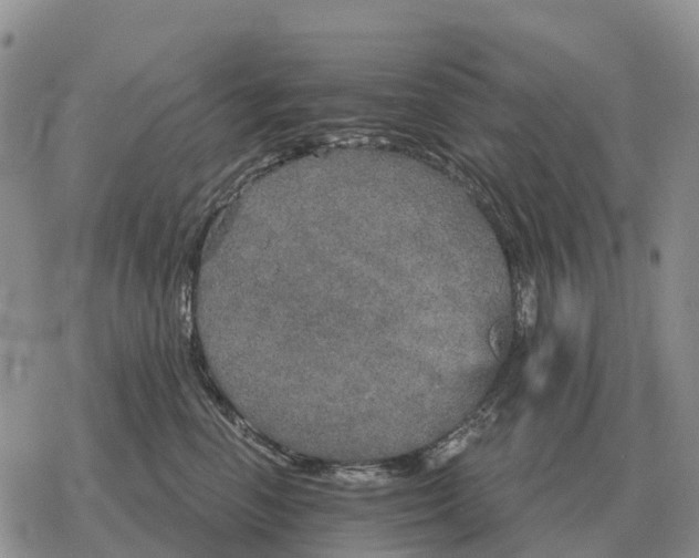 X0000078290666200611251444