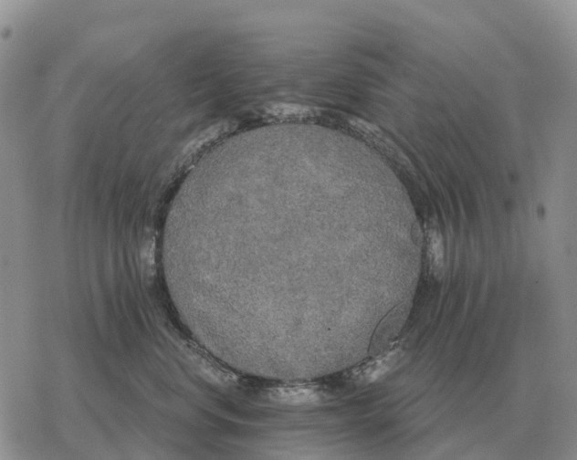 X0000078290668200611251444