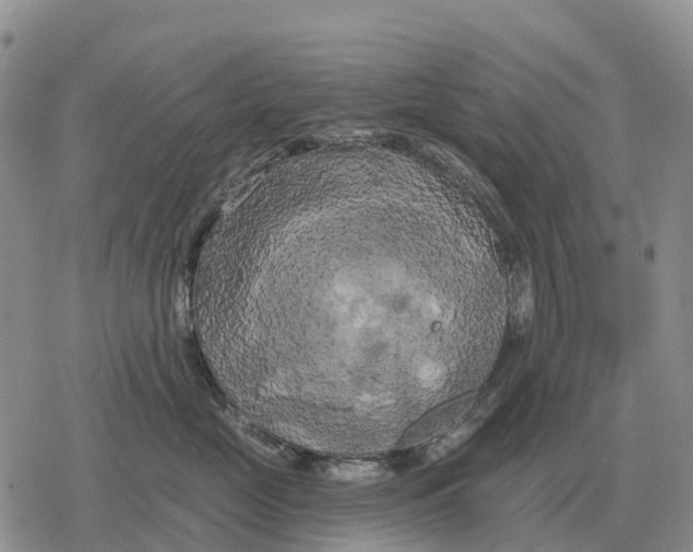 X0000078290669200611251444