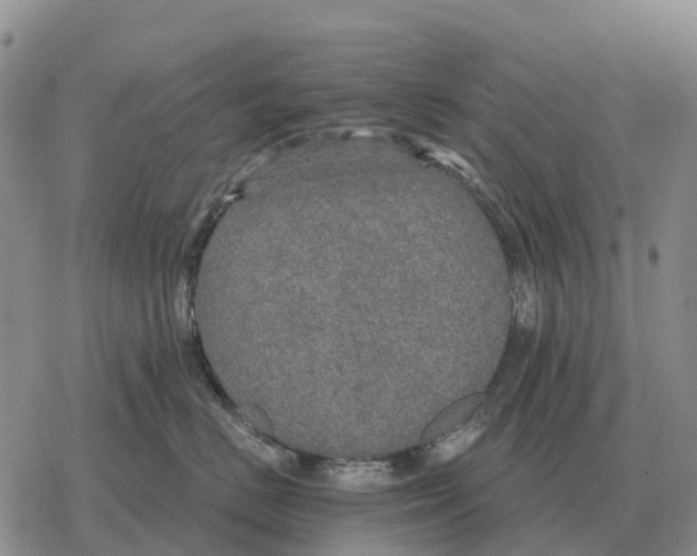 X0000078290670200611251444