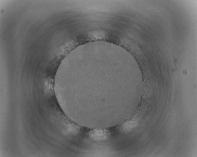 X0000078290672200611251444