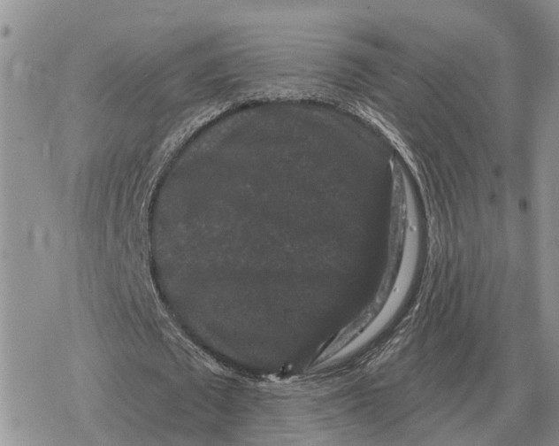 X0000078290673200611251444