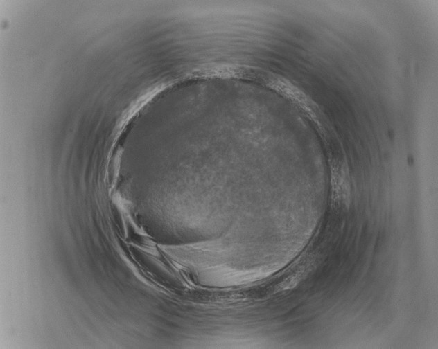 X0000078290674200611251444