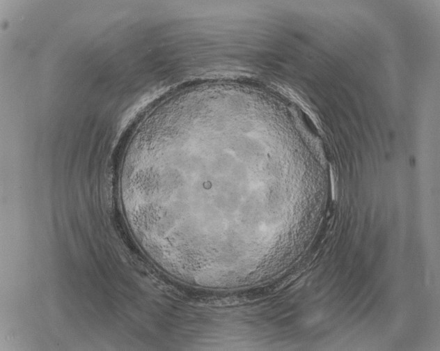 X0000078290675200611251444