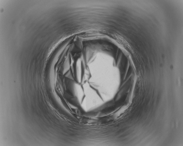 X0000078290676200611251444