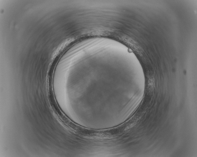 X0000078290678200611251444