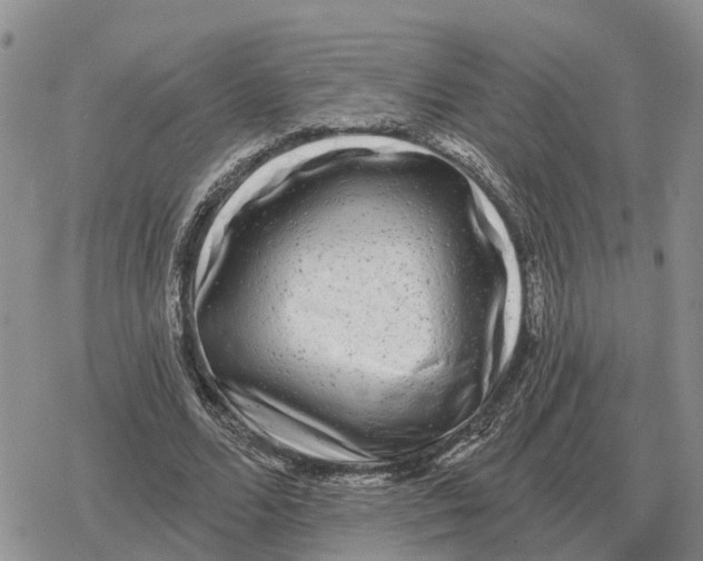 X0000078290680200611251444