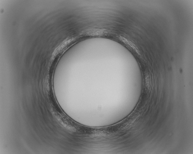 X0000078290682200611251444