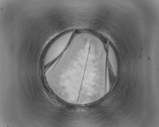 X0000078290684200611251444