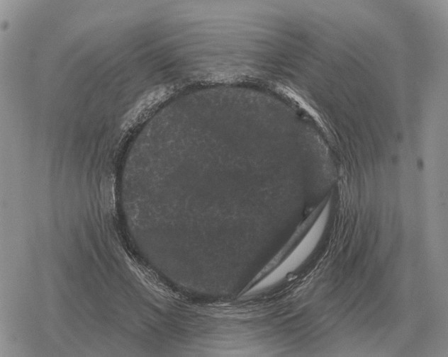 X0000078290685200611251443