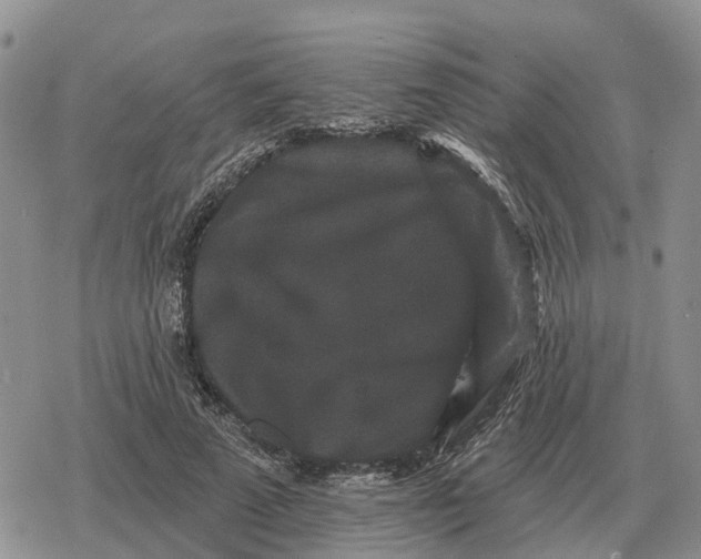 X0000078290689200611251443