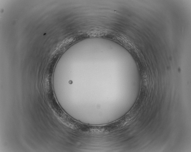 X0000078290690200611251443