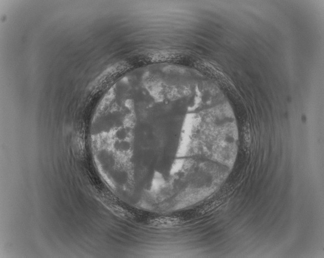 X0000078290691200611251443