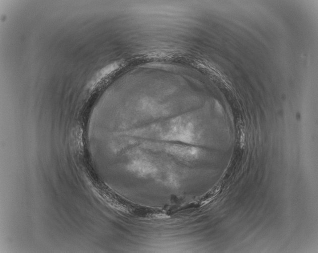 X0000078290692200611251443