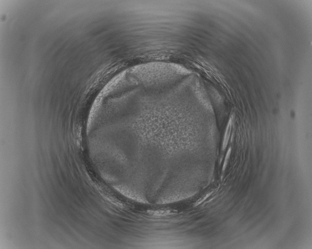 X0000078290693200611251443