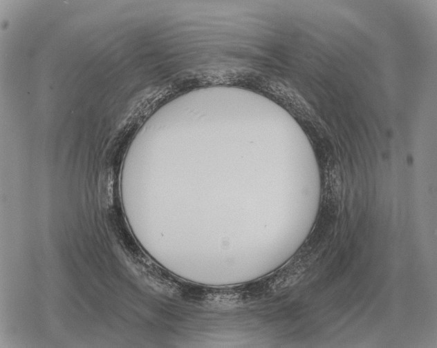 X0000078290694200611251443