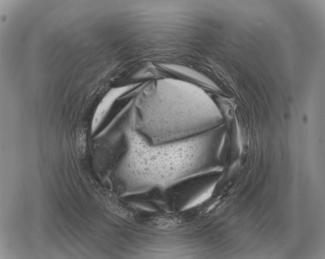 X0000078290697200611251443