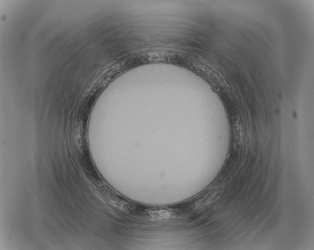 X0000078290698200611251443