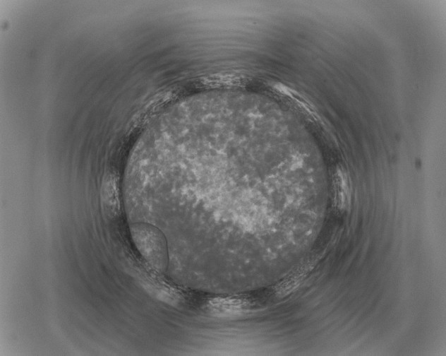 X0000078290699200611251443