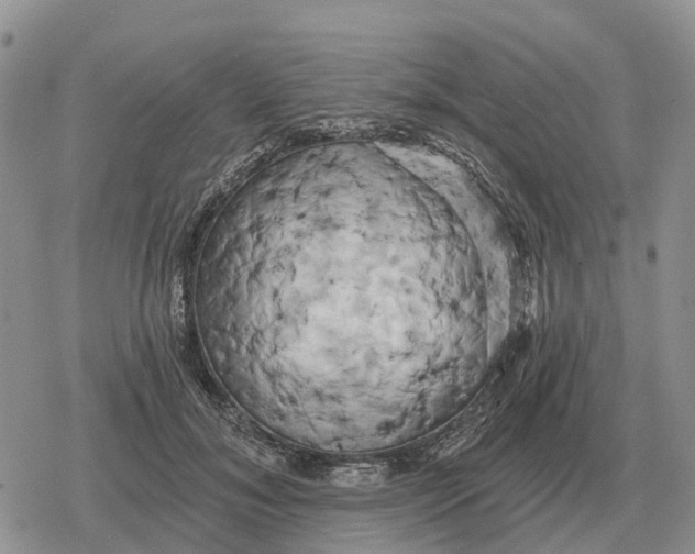 X0000078290700200611251443