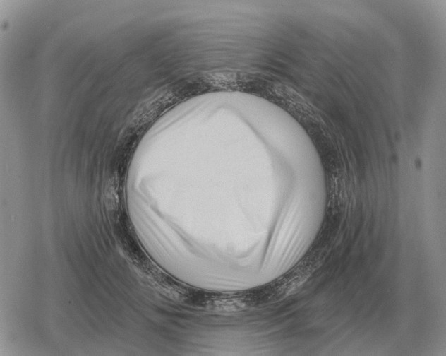 X0000078290702200611251443