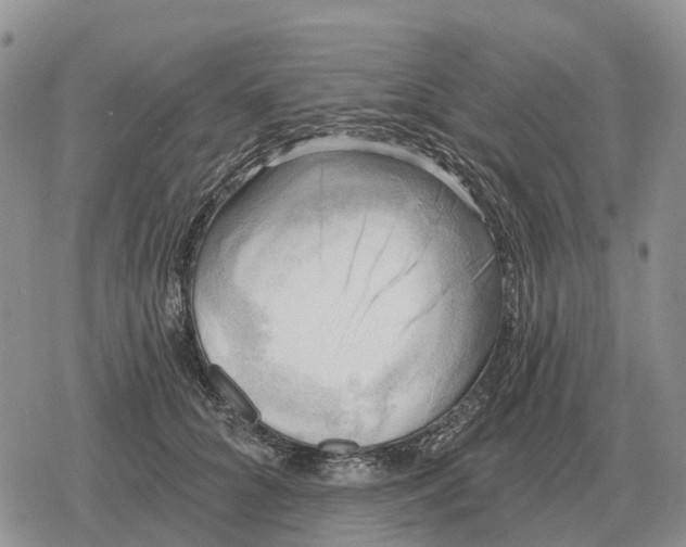 X0000078290704200611251443