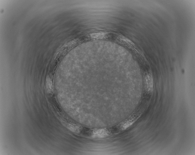 X0000078290705200611251443